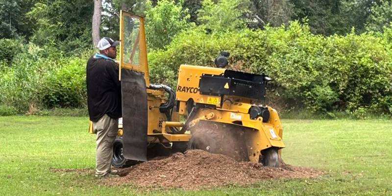 Stump grinding project