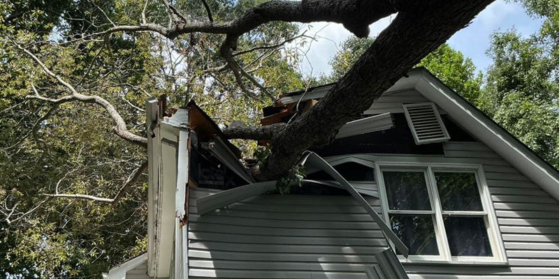 Storm damage cleanup